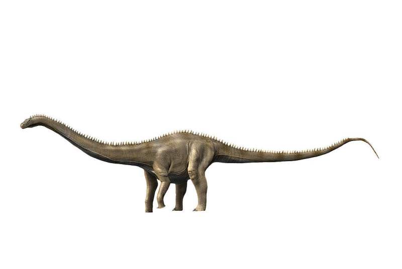 1670211514599292.jpg 8.jpg