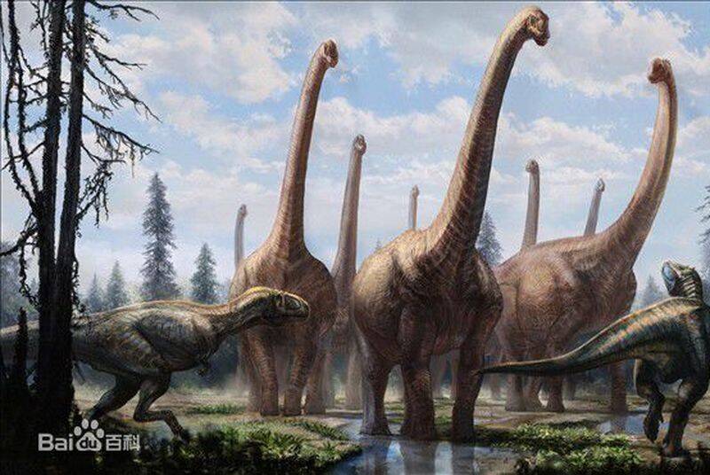 1670211525203592.jpg 9_九雷图片转换器.jpg