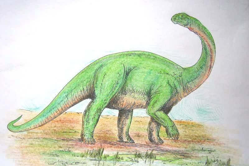 1670211546114904.jpg 12.jpg