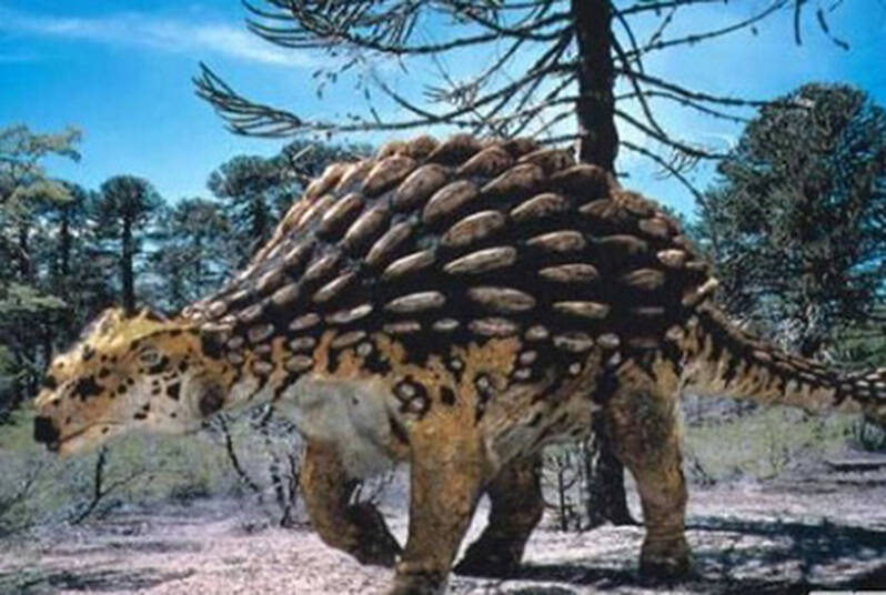 1670212522172775.jpg 4_九雷图片转换器.jpg