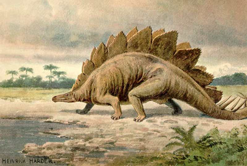 1670212536114768.jpg 6.jpg