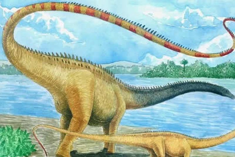 1670212561133777.jpg 10.jpg