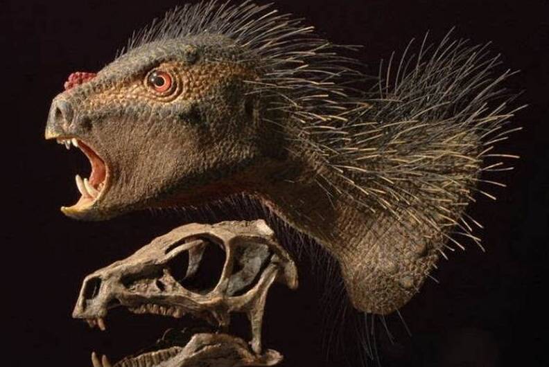 1670218969178081.jpg 3_九雷图片转换器.jpg