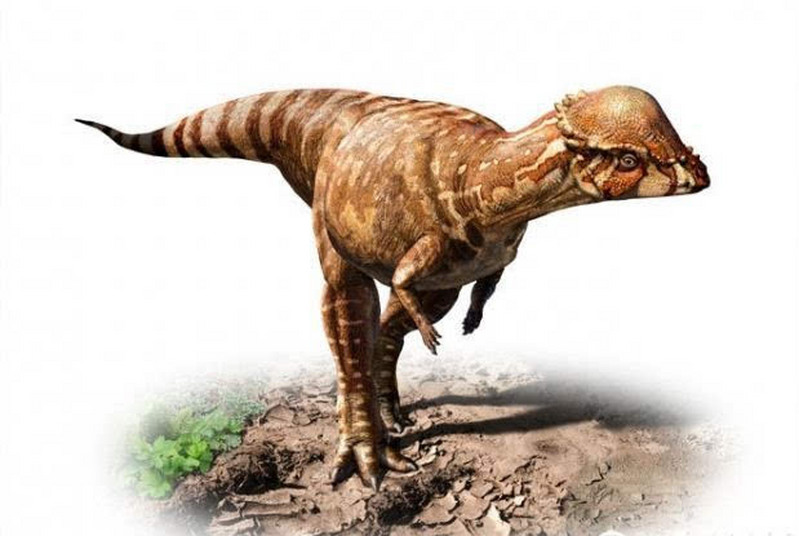 1670218977115107.jpg 4.jpg