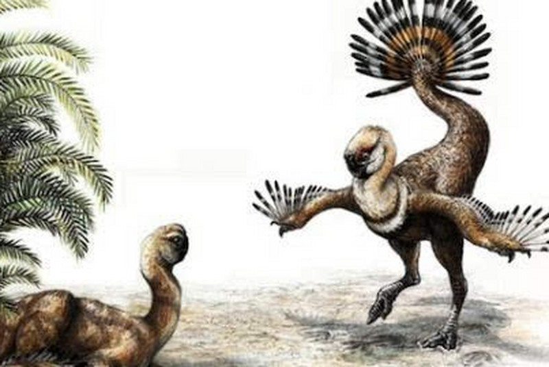 1670218985137306.jpg 5.jpg