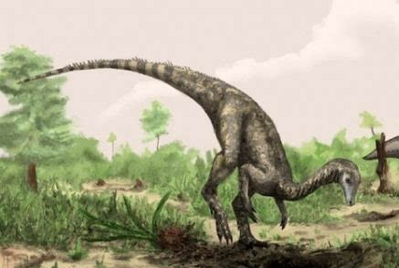 1670218994213809.jpg 6.jpg