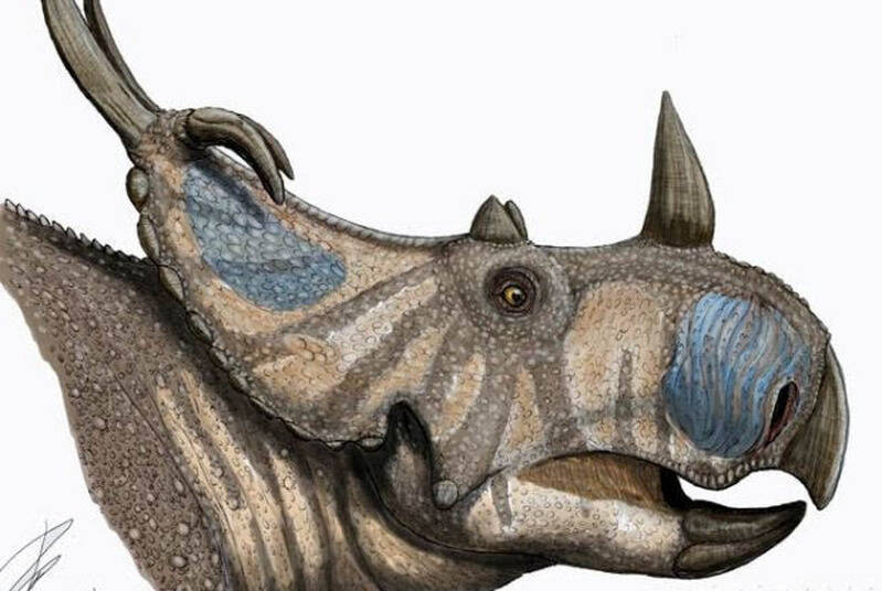 1670219011674737.jpg 8_九雷图片转换器.jpg