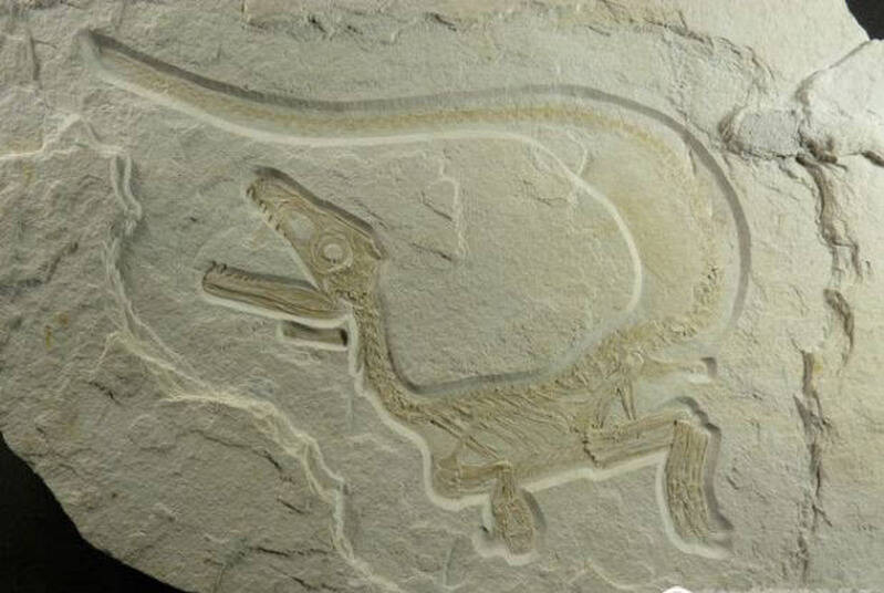 1670219019991037.jpg 9_九雷图片转换器.jpg