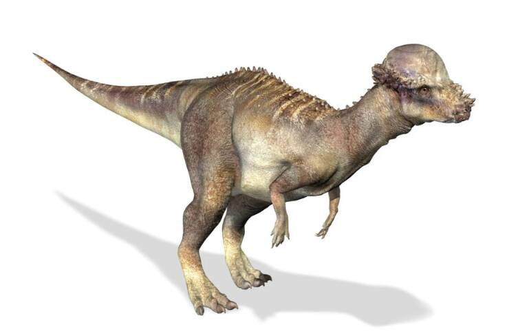 1670223463103148.jpg 7_九雷图片转换器.jpg