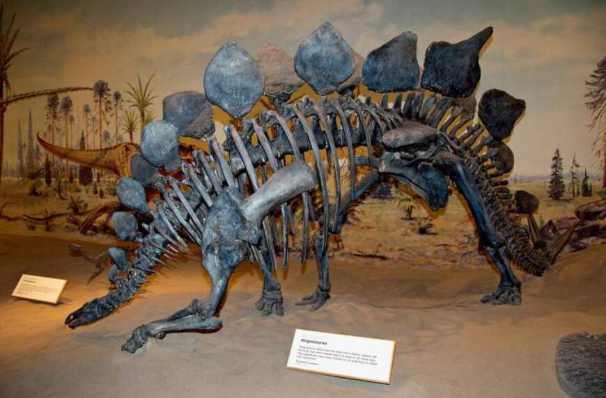 1670223477200654.jpg 8_九雷图片转换器.jpg