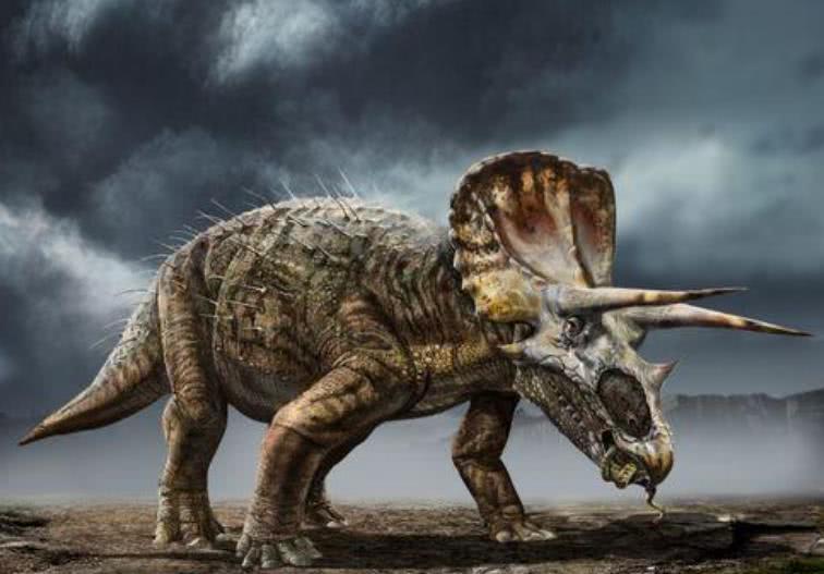 1670223497192608.jpeg 9.jpeg