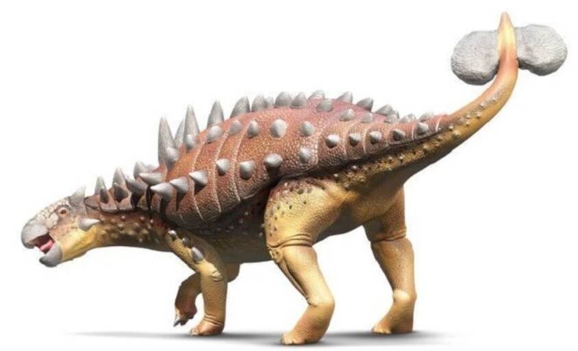 1670223505434969.jpg 10_九雷图片转换器.jpg