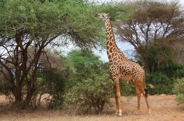 2022121514430253.jpg 1_九雷图片转换器.jpg