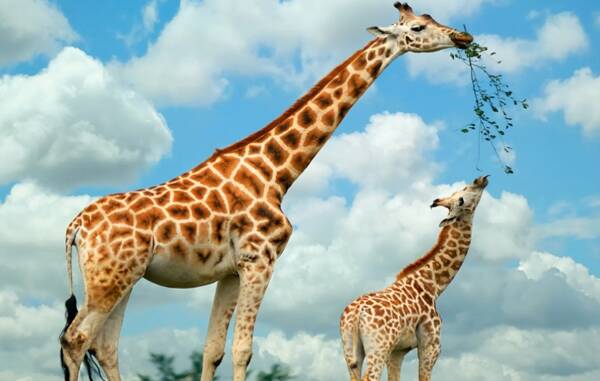 2022121527220377.jpg 3_九雷图片转换器.jpg