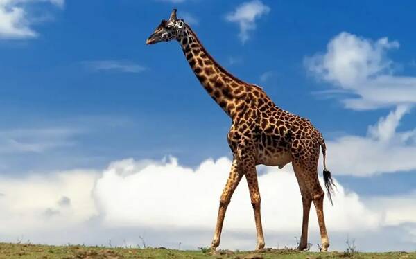 2022121547608244.jpg 2_九雷图片转换器.jpg