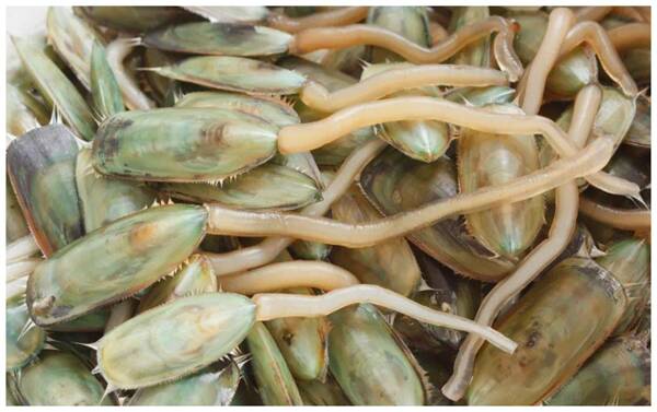 2022121612772163.jpg 3_九雷图片转换器.jpg