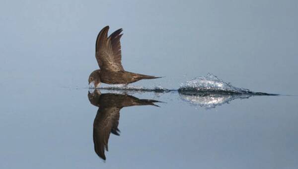 2022121625895296.jpg 2_九雷图片转换器.jpg