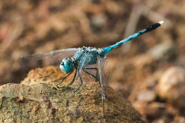 2022121910483168.jpg 1_九雷图片转换器.jpg