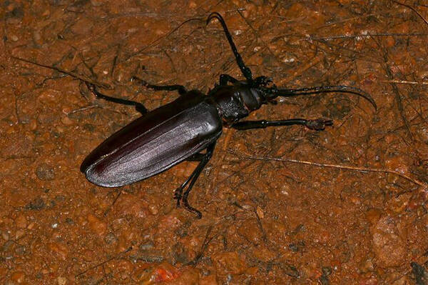 2022121910770016.jpg 1_九雷图片转换器.jpg