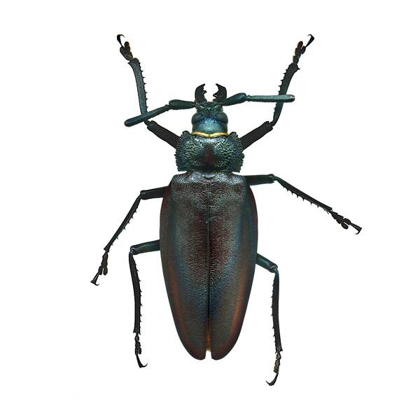 2022121936162067.jpg 3副本_九雷图片转换器.jpg