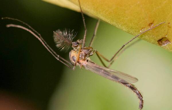 2022121979389115.jpg 2_九雷图片转换器.jpg