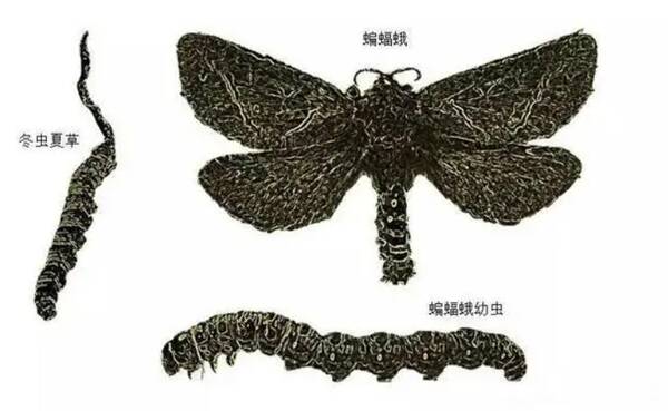 2022121997912204.jpg 2_九雷图片转换器.jpg