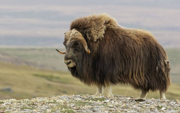 2022122010223040.jpg 3_九雷图片转换器.jpg