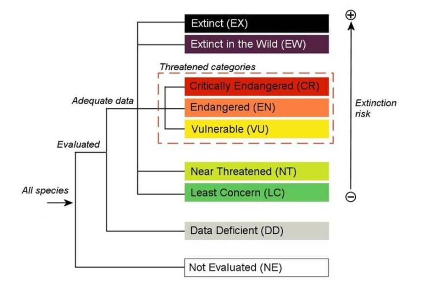 2022122012394295.jpg 1_九雷图片转换器.jpg