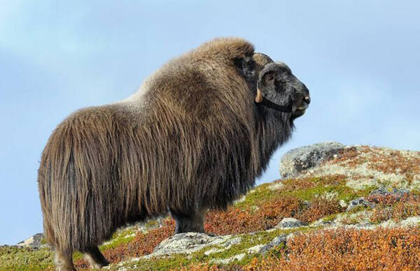 2022122014882853.jpg 1_九雷图片转换器.jpg