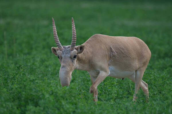 2022122017267765.jpg 4_九雷图片转换器.jpg