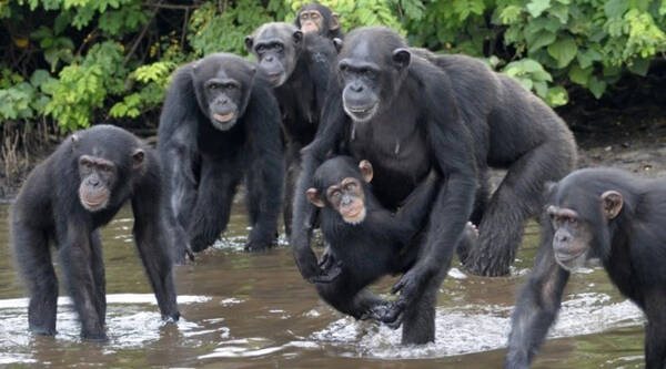 2022122017283449.jpg 3_九雷图片转换器.jpg