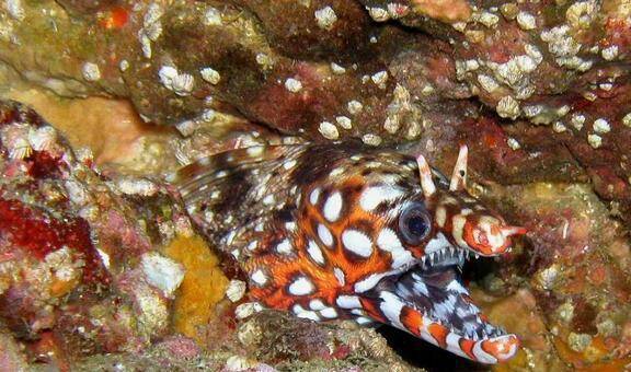 2022122018881780.jpg 9_九雷图片转换器.jpg