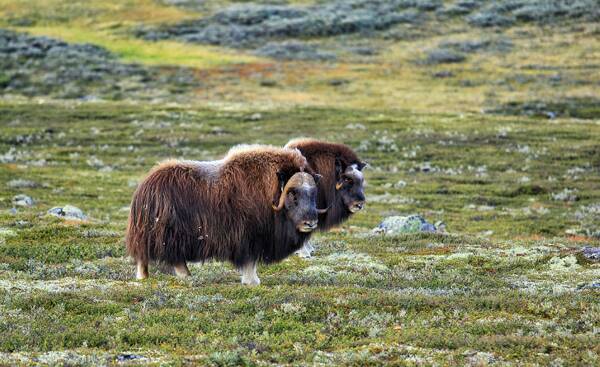 2022122040177123.jpg 4_九雷图片转换器.jpg