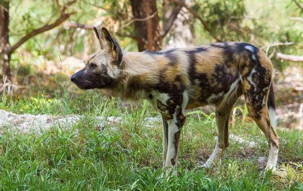 2022122069077450.jpg 11_九雷图片转换器.jpg