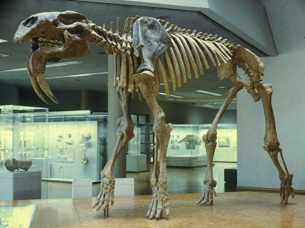 2022122320423993.jpg 4_九雷图片转换器.jpg