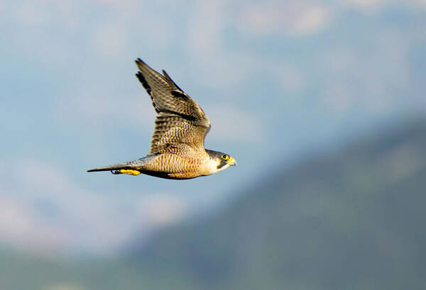 2022122711501960.jpg 1_九雷图片转换器.jpg