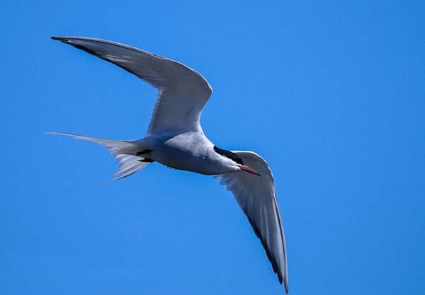 2022122714834349.jpg 1_九雷图片转换器.jpg