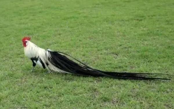 2022122716401915.jpg 2_九雷图片转换器.jpg