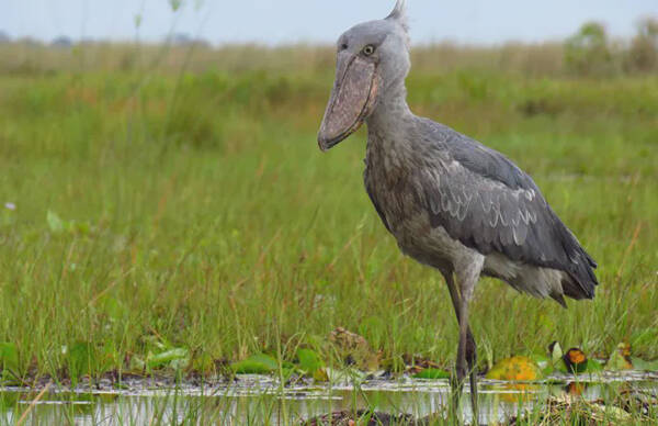 2022122716687272.jpg 3_九雷图片转换器.jpg