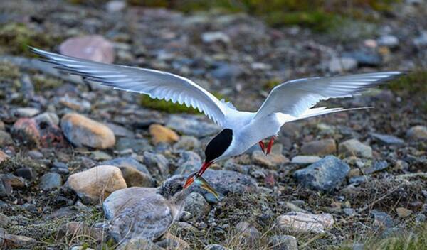 2022122742917185.jpg 3_九雷图片转换器.jpg