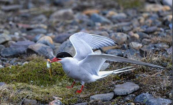 2022122773500224.jpg 4_九雷图片转换器.jpg