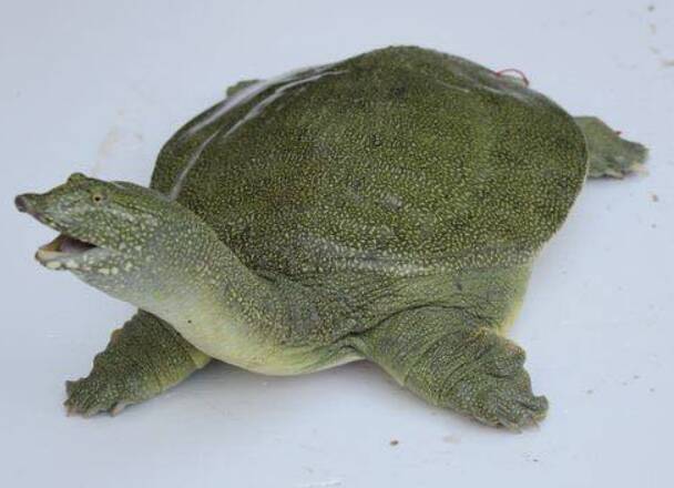 2023011070204149.jpg 2_九雷图片转换器.jpg