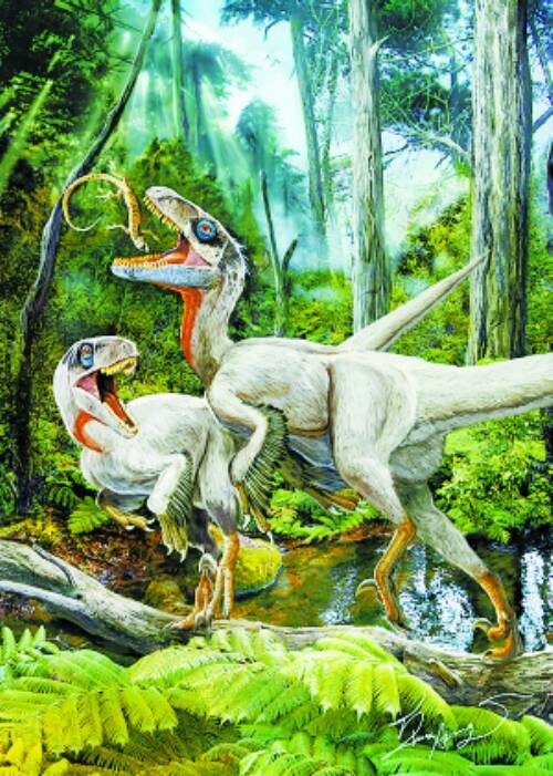 栾川盗龙 栾川盗龙