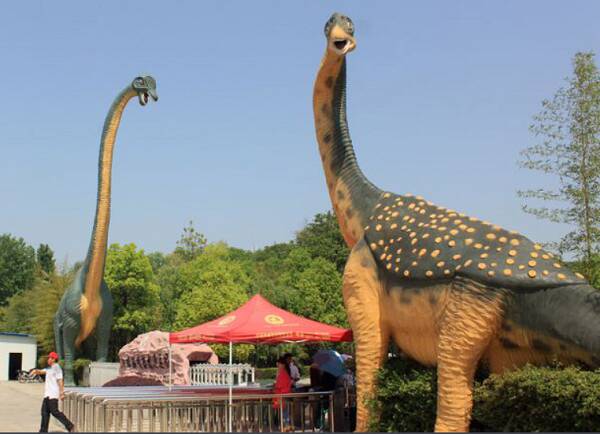 宝天曼龙 宝天曼龙