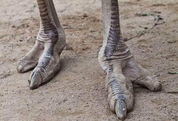 2023011610591684.jpg 2_九雷图片转换器.jpg