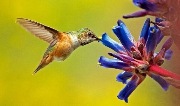 2023011611181206.jpg 4_九雷图片转换器.jpg