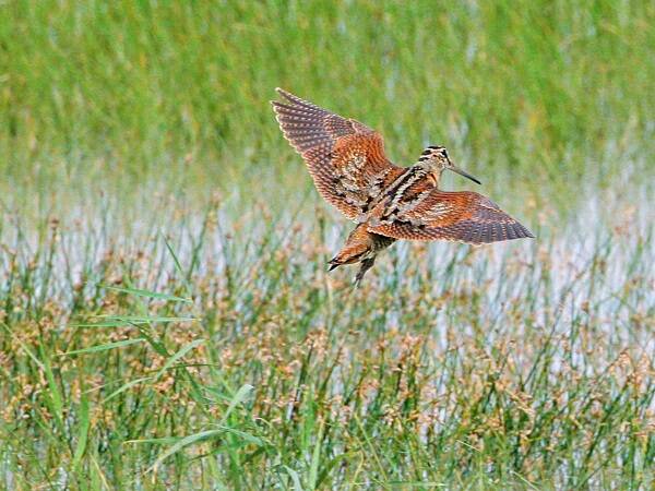 2023011611292379.jpg 2_九雷图片转换器.jpg