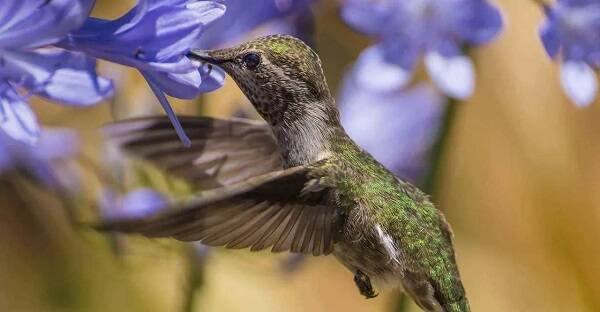 2023011620159259.jpg 2_九雷图片转换器.jpg