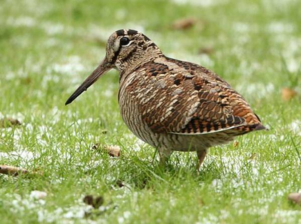 2023011679415943.jpg 3_九雷图片转换器.jpg