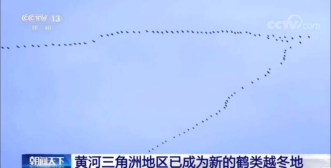 2023011712572437.jpg 12_九雷图片转换器.jpg